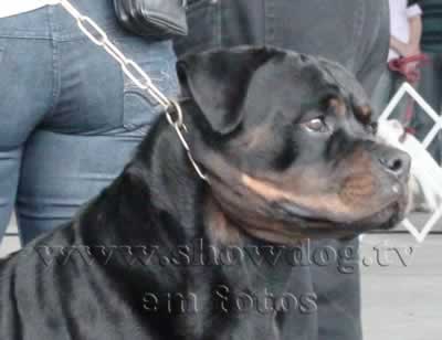 Clique sobre a foto para fechar